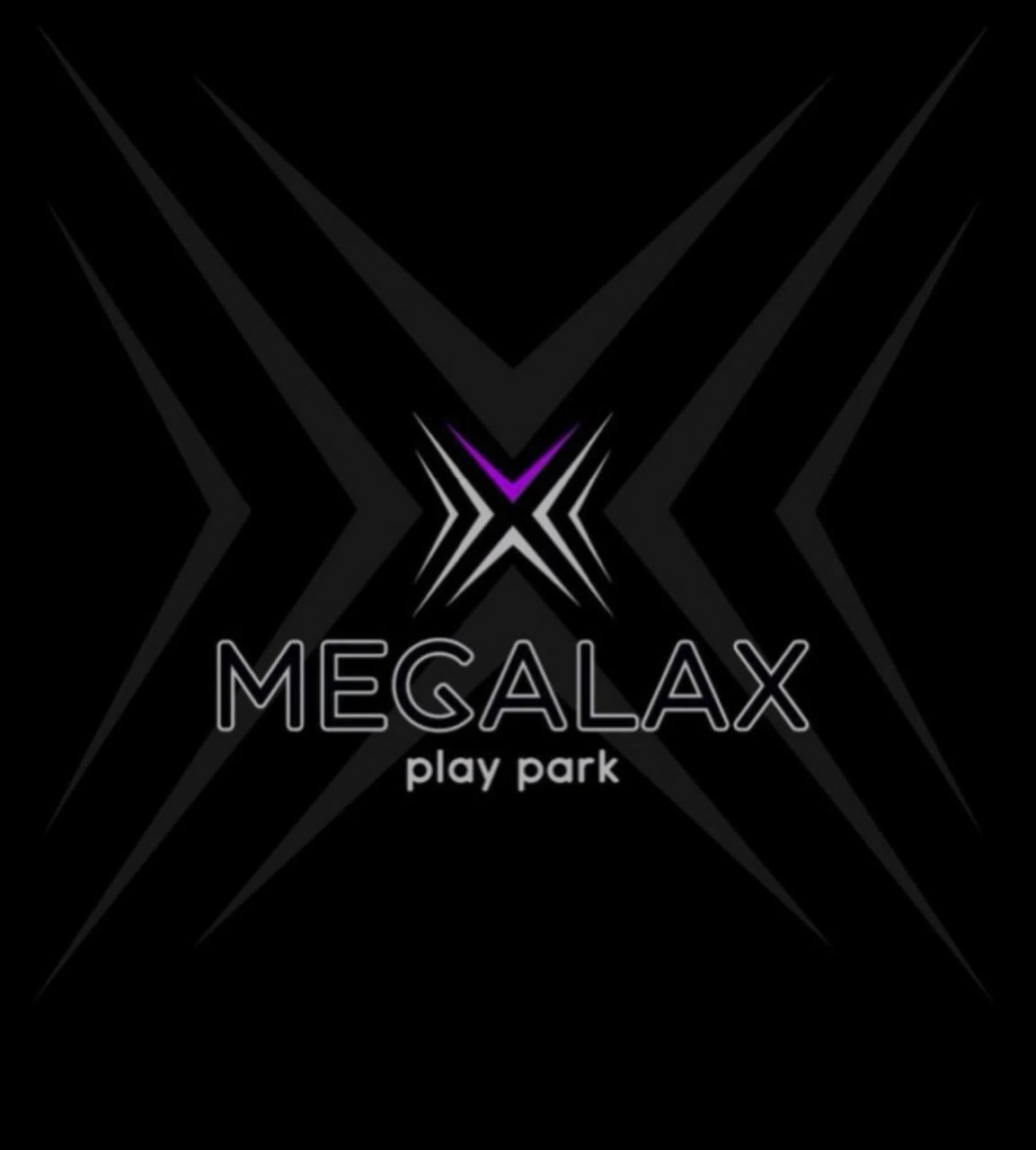Сеть активити-парков Megalax